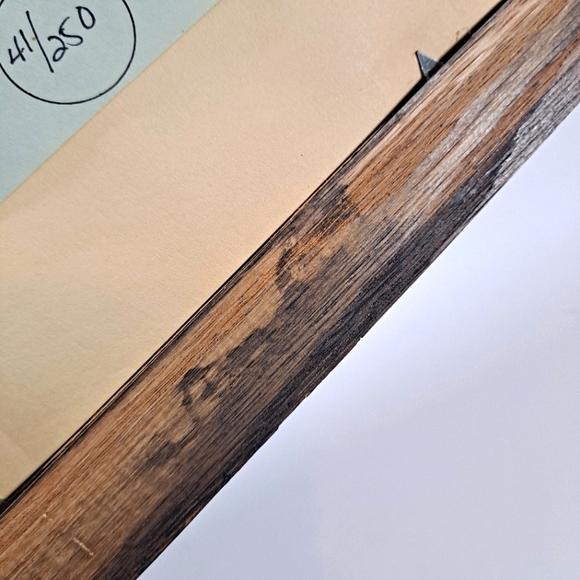 Harry Bowden "Boquillas Spring" Framed & Matted Photo Signed Limited Edition - Picture 14 of 14